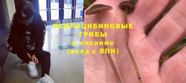 хмурый Армянск