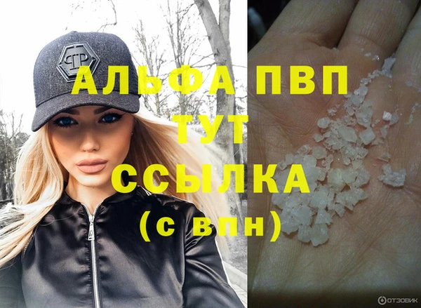 индика Медногорск